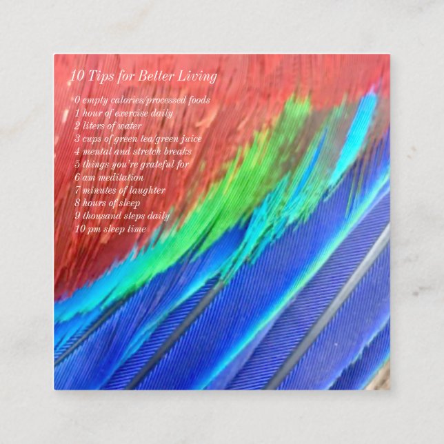 Visita Cuadrada Frente y parte posterior cuadrados de la tarjeta (Reverso)