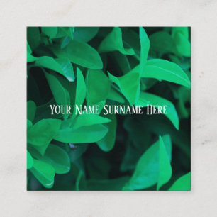 Visita Cuadrada Hojas de planta verde pálido naturaleza tarjeta de
