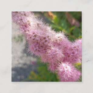 Visita Cuadrada Tarjeta de Negocios Floral de Flor de Astilbe Rosa