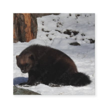 Tarjeta de presentación