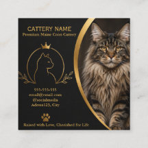 Tarjeta de presentación de criadero de Maine Coon