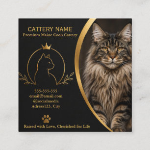 Visita Cuadrada Tarjeta de presentación de criadero de Maine Coon