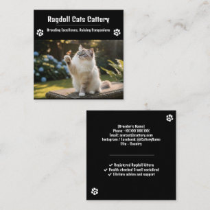 Visita Cuadrada Tarjeta de presentación de criadero de Ragdoll   C