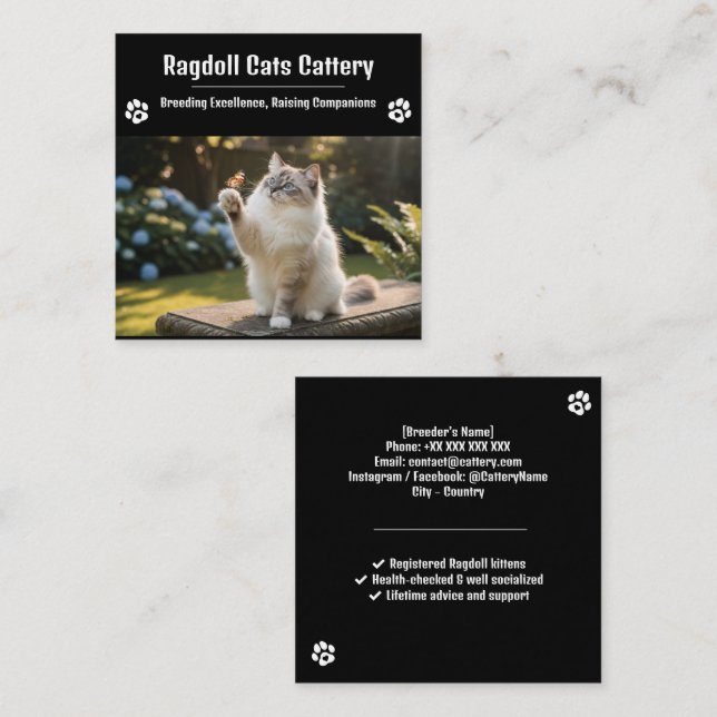Visita Cuadrada Tarjeta de presentación de criadero de Ragdoll | C (Anverso / Reverso)