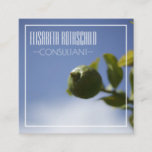 Visita Cuadrada Tarjeta de presentación personalizada de limón org