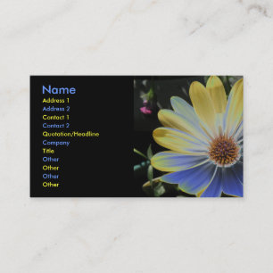Visita Daisy Lapis africano y tarjeta de Personalizado de