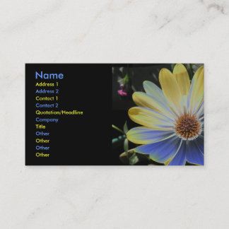 Visita Daisy Lapis africano y tarjeta de Personalizado de