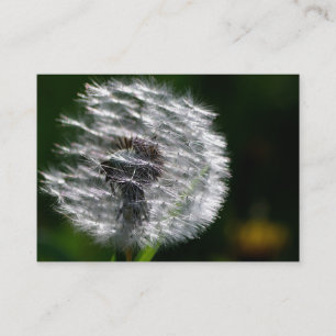 Visita Dandelion Head Seed - Tarjeta de presentación