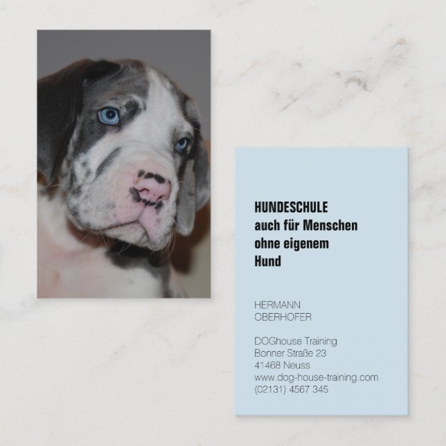 Visita Escuela de perro tarjeta de presentación (Anverso / Reverso)
