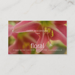 Visita Floral - Tarjeta de presentación Belladonna Lily