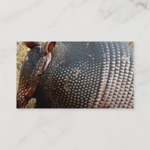 Visita fotografía armadillo de plantilla de tarjeta de vi