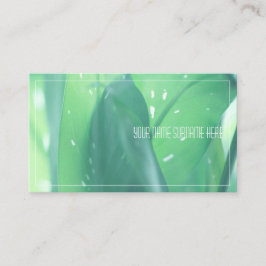 Visita Hojas de planta verde pálido naturaleza tarjeta de