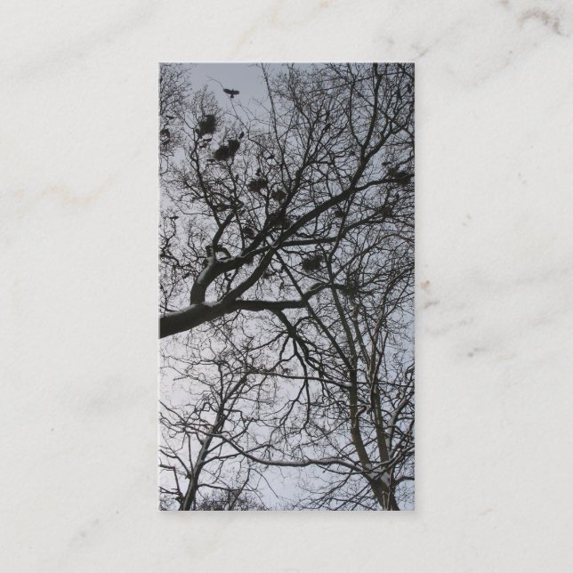 Visita La pequeña tarjeta de la foto de los cuervos (Anverso)