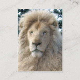 Visita Lion Head tarjeta de negocios chubby negro