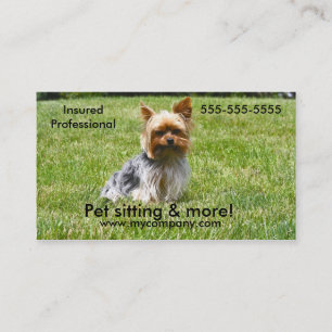 Visita Persiga sentarse, sentada del mascota, tarjeta de