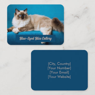 Visita Personalizado Ragdoll Cattery Tarjeta de presentac
