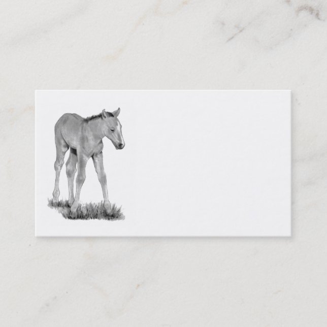 Visita Potro, caballo: Arte del lápiz de la tarjeta de (Anverso)