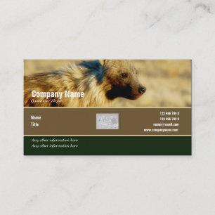 Visita Safari de los hyenas del perfil de la tarjeta de