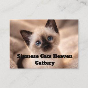 Visita Siamese Cats Heaven Cattery Tarjeta de Negocio Per