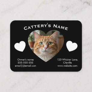 Visita Tarjeta de Negocio de Gatería Personalizable Negra