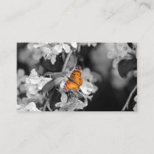 Tarjeta De Negocios Americana Lady Butterfly On Bl