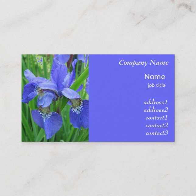 Visita tarjeta de negocios de flores de iris azul (Anverso)