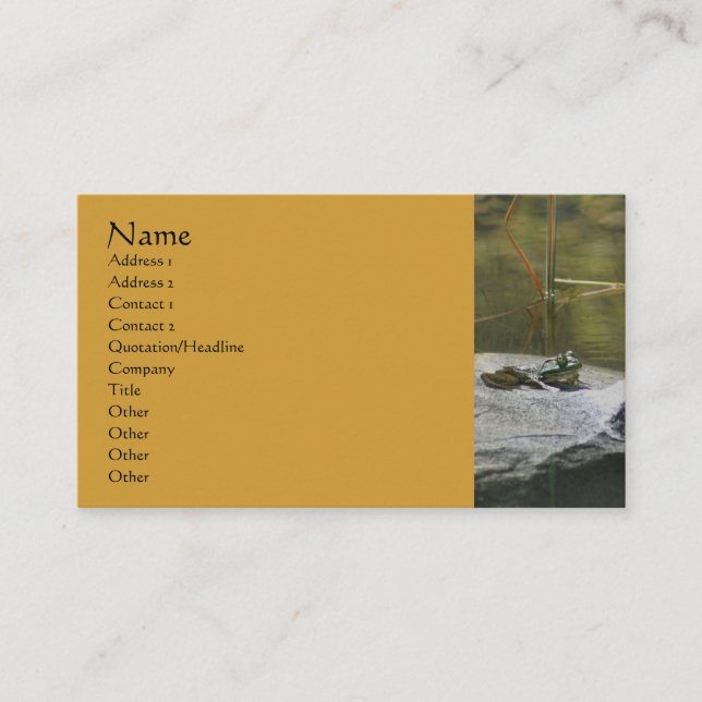 Visita Tarjeta De Negocios De Fotografía De Fotografía De (Anverso)