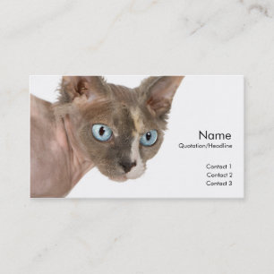 Visita Tarjeta de perfil de gato Sphynx