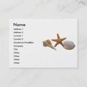 Visita Tarjeta de perfil de las conchas marinas