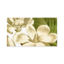 Tarjeta de perfil Magnolia