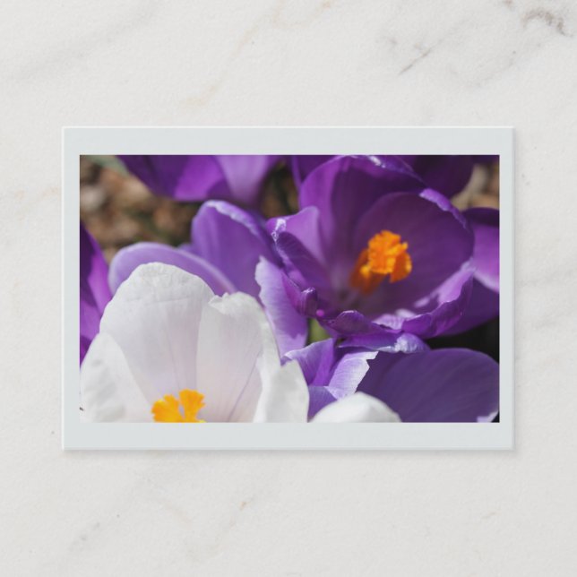 Visita Tarjeta de perfil personal, crocus blanco y violet (Anverso)