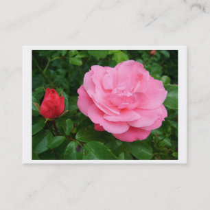 Visita Tarjeta de perfil personal, rosa rosado