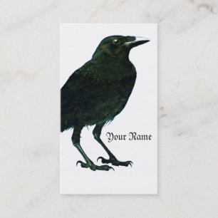 Visita Tarjeta de perfil Raven