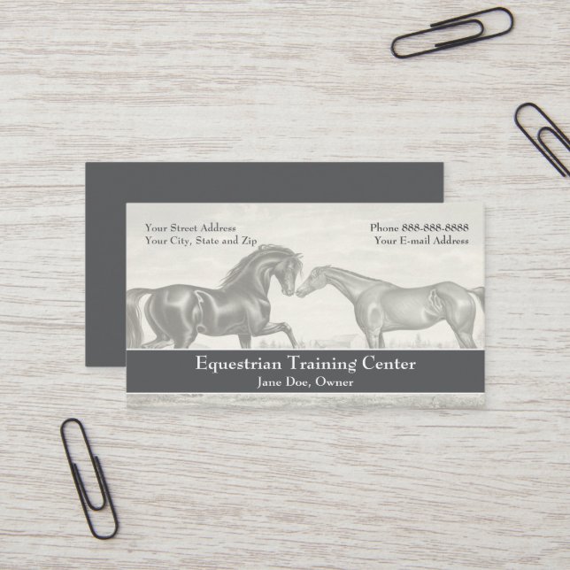 Visita Tarjeta de presentación (Anverso/Reverso In Situ)