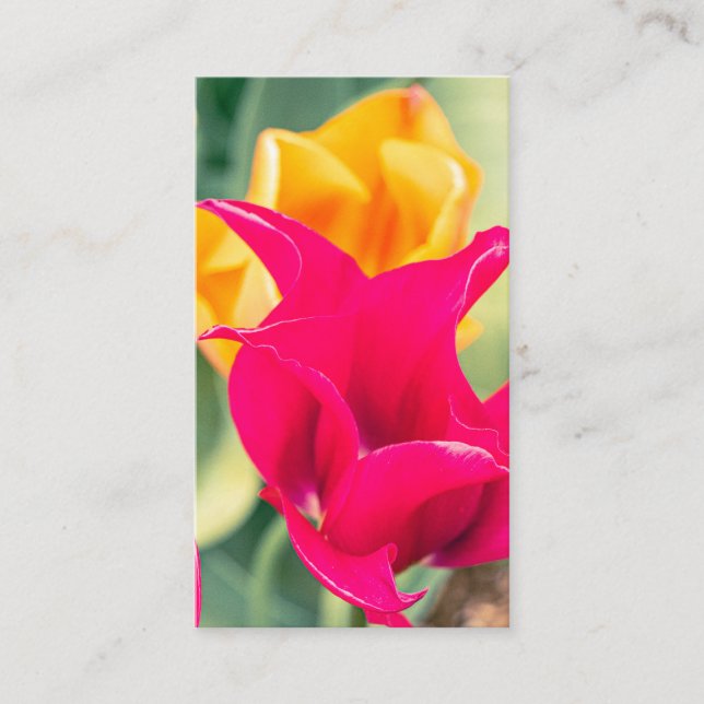 Visita Tarjeta de presentación (Anverso)