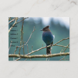 Visita Tarjeta de presentación Amazing Stellar Jay