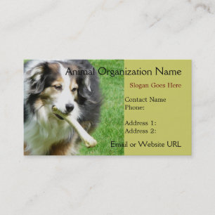 Visita Tarjeta de presentación Aussie Dog