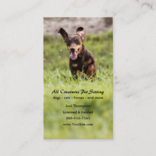 Visita Tarjeta de presentación Dachshund