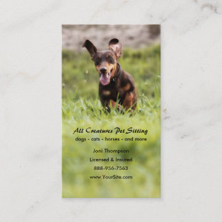 Visita Tarjeta de presentación Dachshund