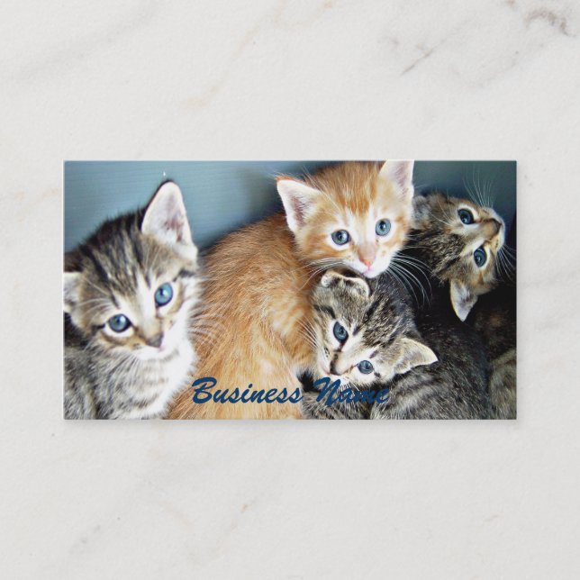 Visita Tarjeta de presentación de 4 Kittens ojos azules (Anverso)