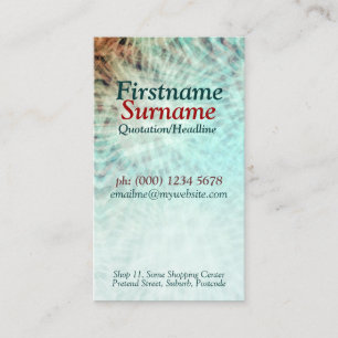 Visita Tarjeta de presentación de Aqua Earth Resumen