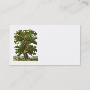 Visita Tarjeta de presentación de árbol de roble vintage