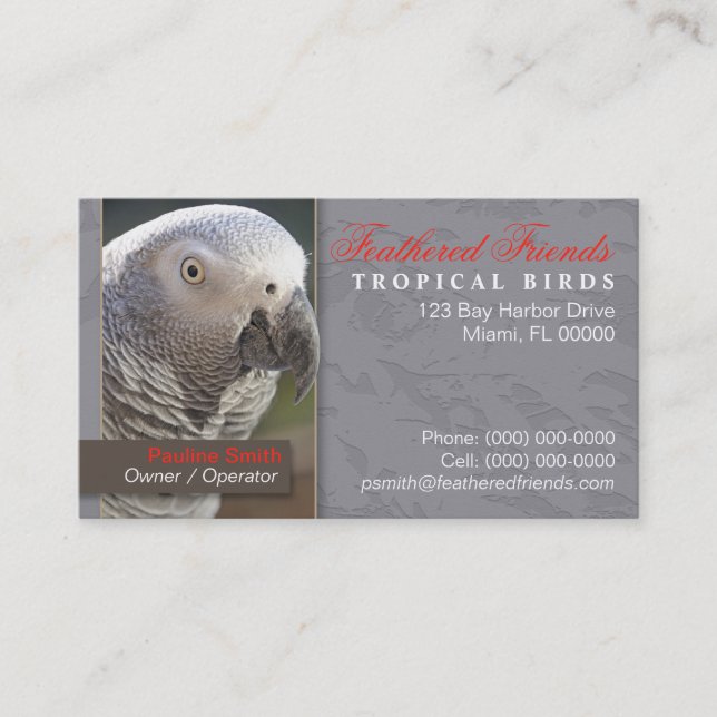 Visita Tarjeta de presentación de aves tropicales (Anverso)
