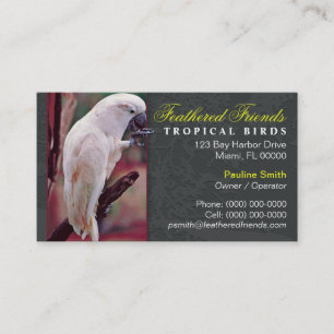 Visita Tarjeta de presentación de aves tropicales