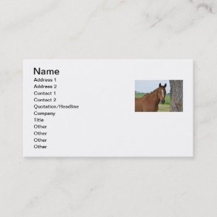 Visita Tarjeta de presentación de caballo
