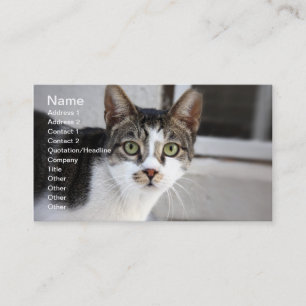 Visita Tarjeta de presentación de Cat