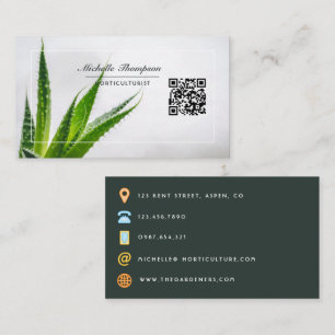 Visita Tarjeta de presentación de código QR de cactus suc