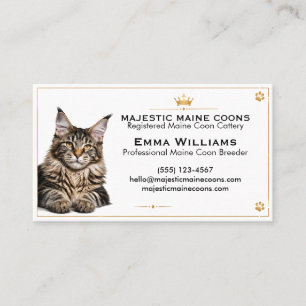 Visita Tarjeta de presentación de criadero de Maine Coon 