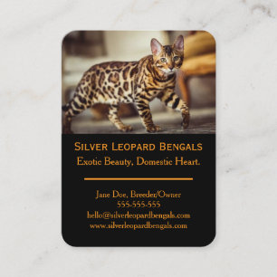 Visita Tarjeta de presentación de criador de gatos Bengal