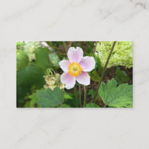 Visita Tarjeta de Presentación de Flor Silvestre Rosa   F